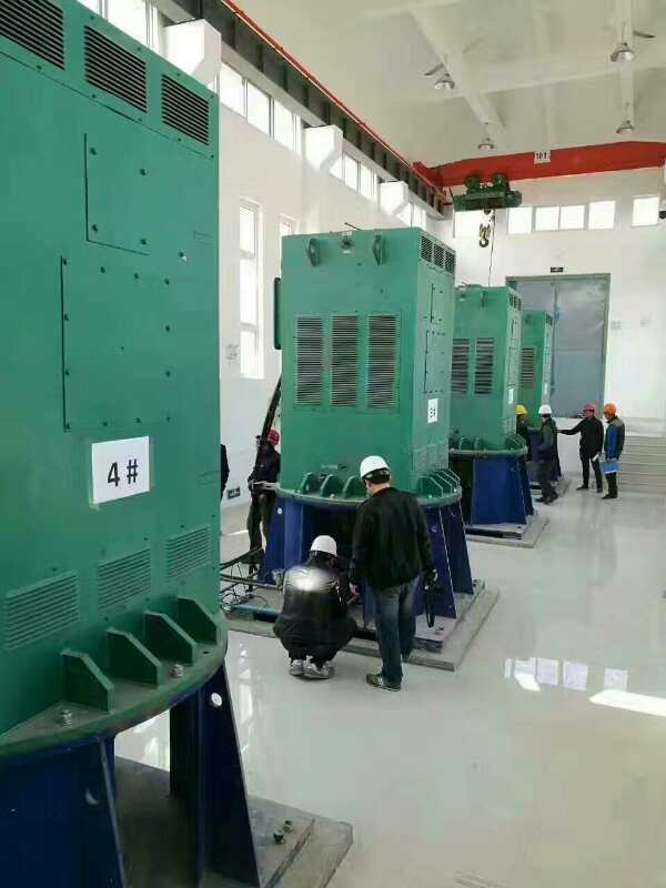 桑珠孜某污水处理厂使用我厂的立式高压电机安装现场