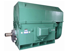 桑珠孜Y系列6KV高压电机